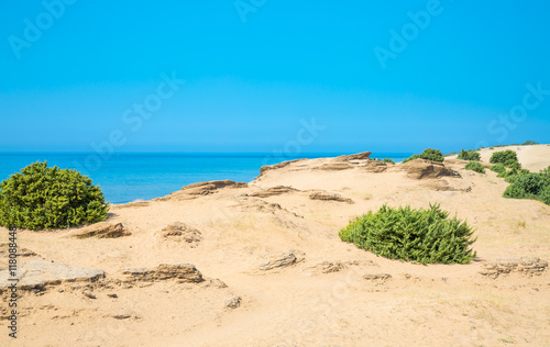 Sandy beach of Corfu  Greece. 