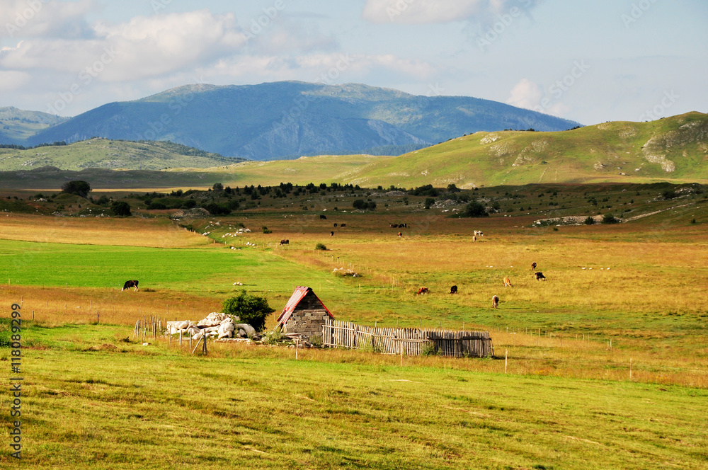 Altes Bauernhaus im Nationalpark Durmitor