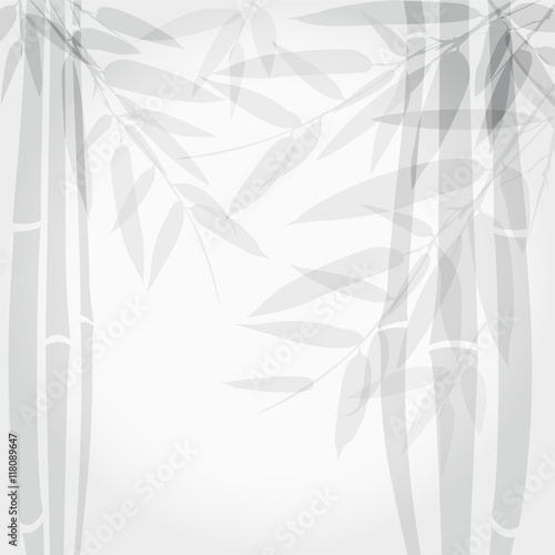 Bamboo trees on white background.