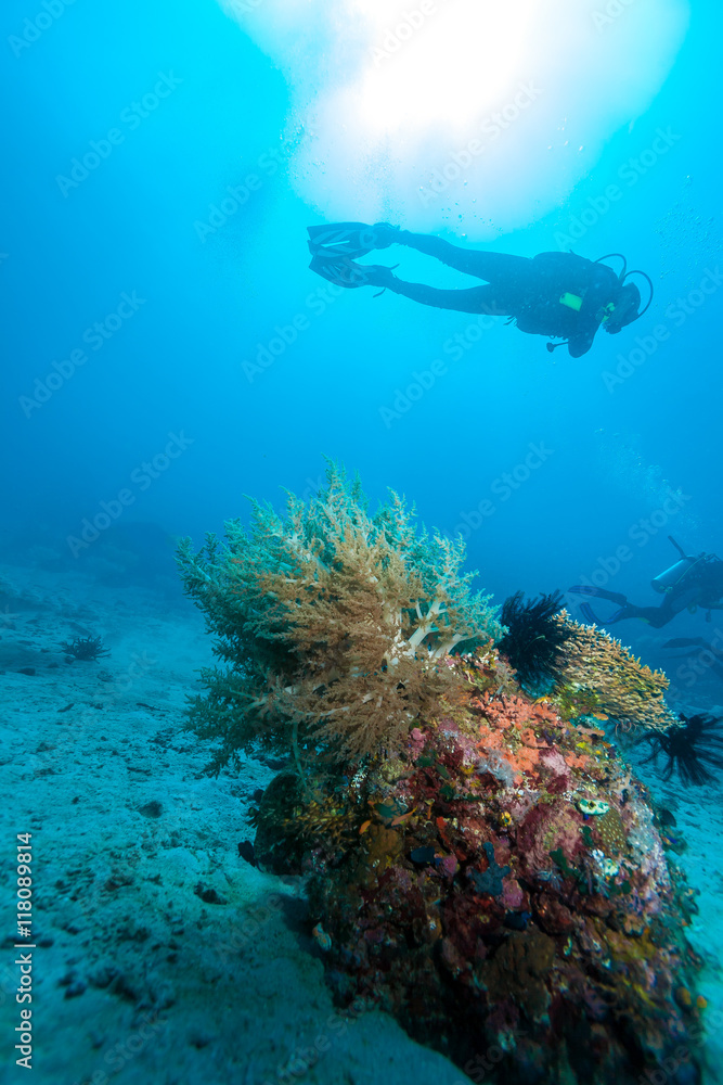 Fototapeta premium Silhouette of Scuba Diver near Sea Bottom