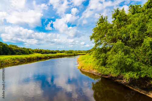 Summer natural landscape with river. Wetland in Florida, USA photo