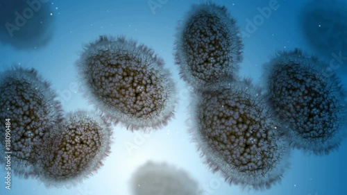 Microscopic visualization of small pox.