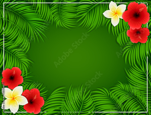 Frame from palm leaves and flowers on green background
