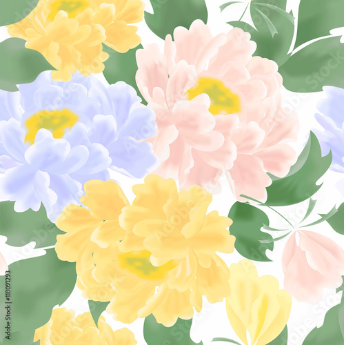 the peonies background