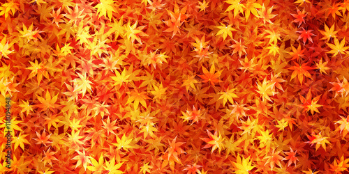 紅葉　秋　風景　背景
