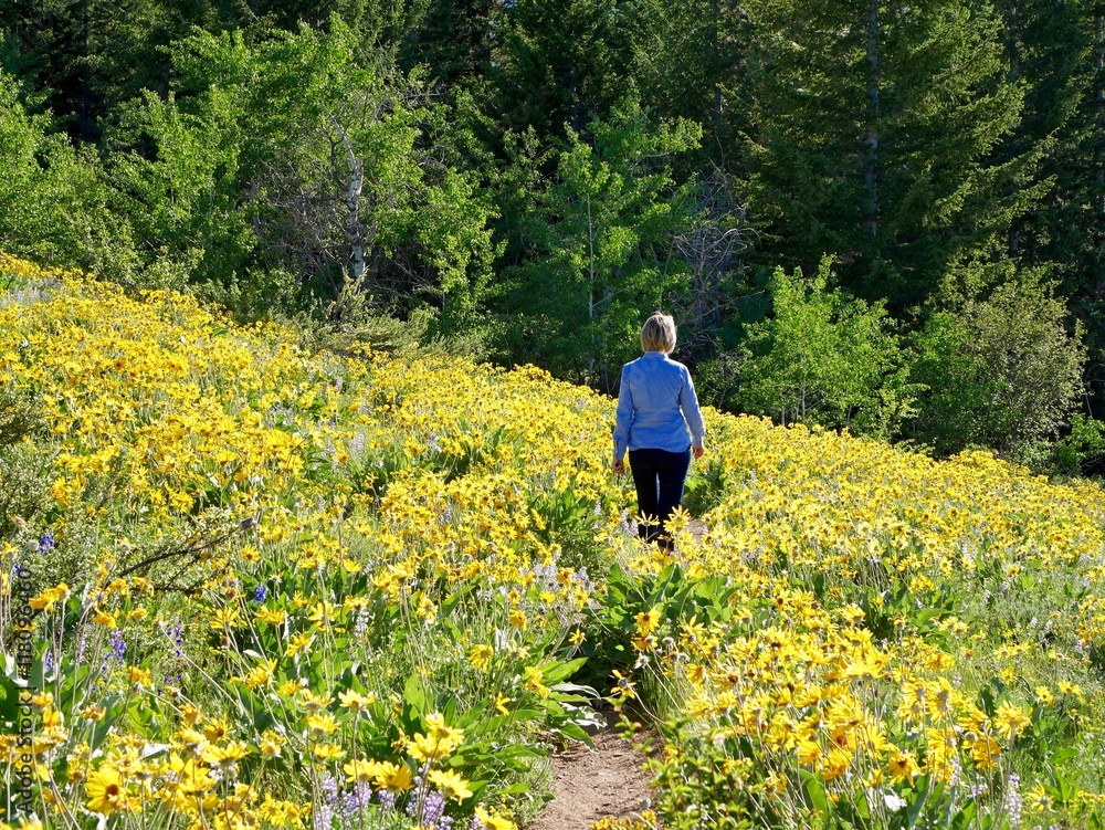 Woman walking through blooming meadows.