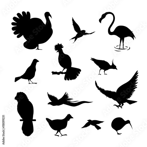 Set of simple bird silhouette. black color