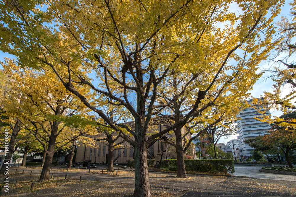 横網町公園