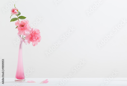 Pink roses in vase on white background