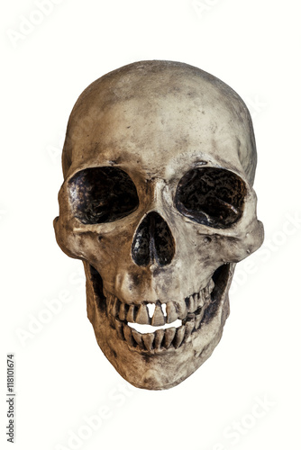 Human skull with dusty isolated on white background