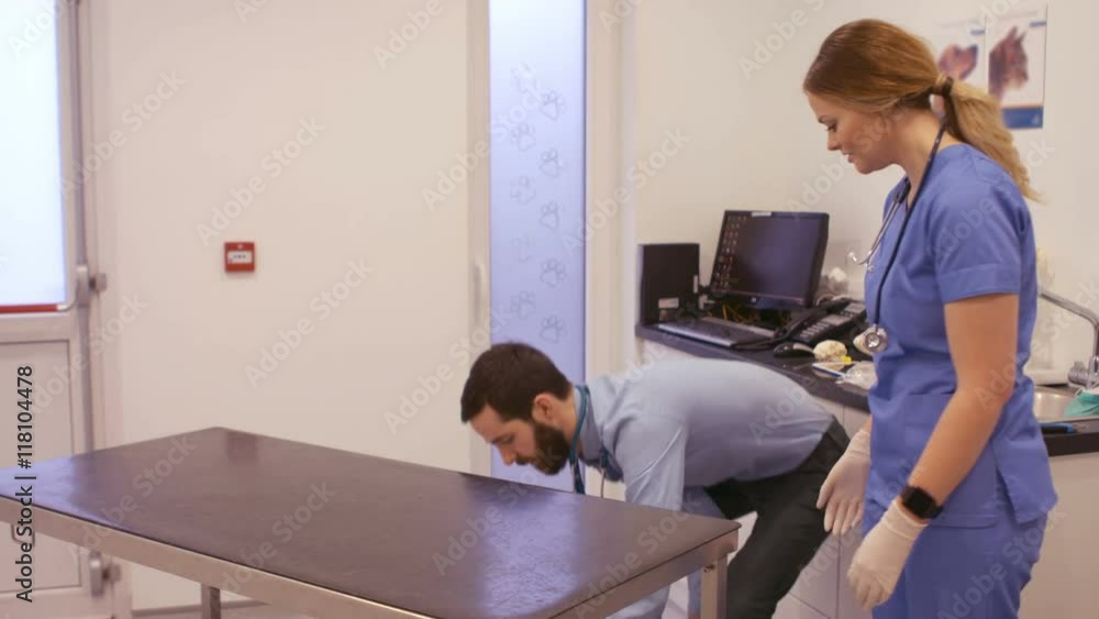 Vet examining the dog Vet examining the dog