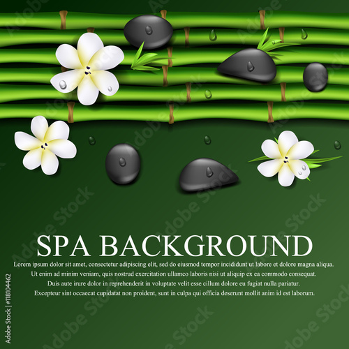 Vector realistic illustration of Spa