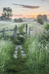 Fototapete Khaki Sommerlicher Sonnenaufgang über englischer Landschaft  © veneratio