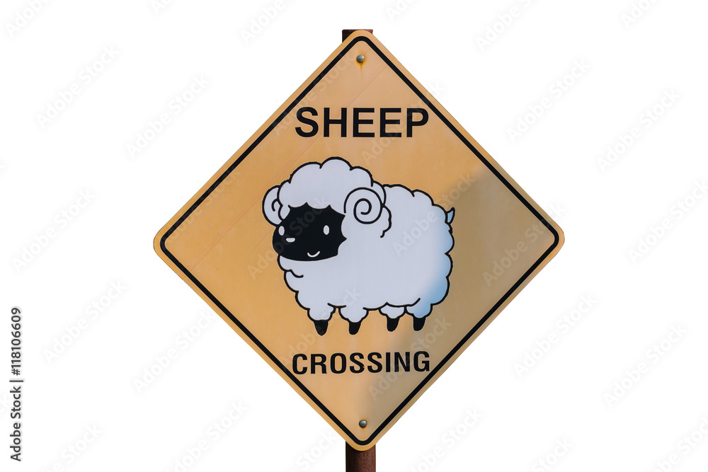 Sheep Crossing sign on ranch On a white background,clipping path