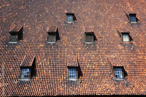  Old medieval roof with dormers.
