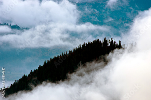 Amazing mountain landscape with dense fog. Carpathian Mountains © Dolnikov