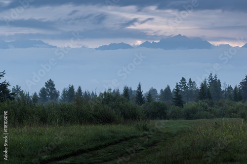 Meadow and forest on a background of mountains covered with fog.