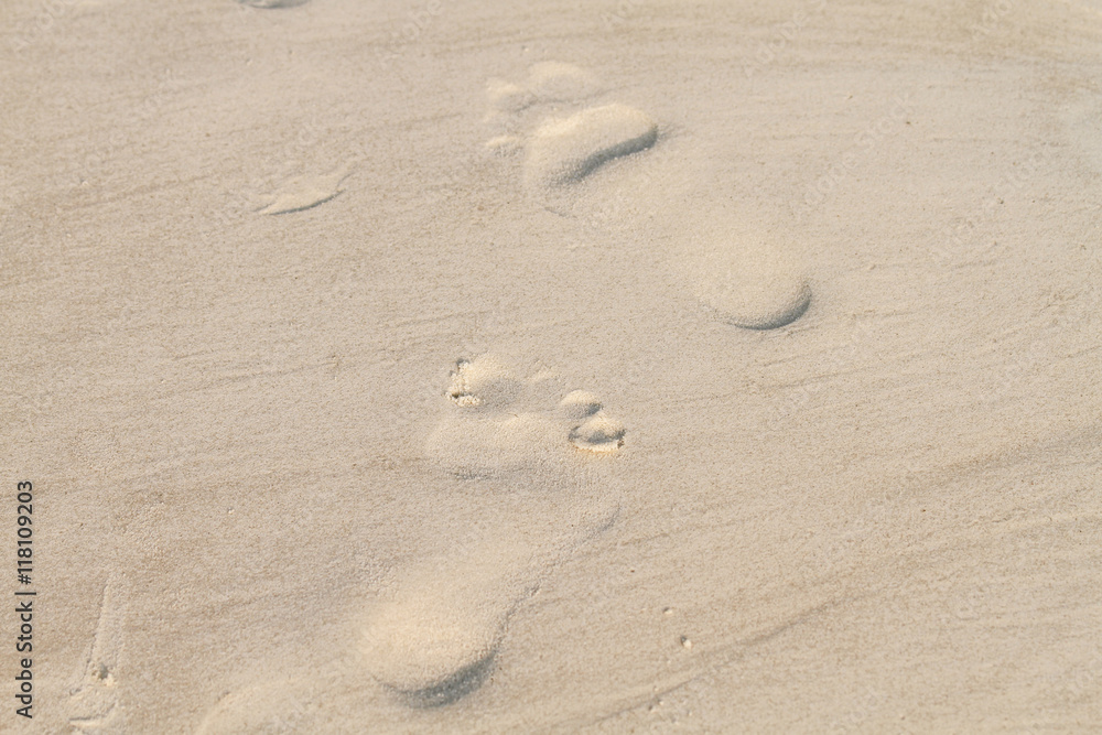 Footprints on the Sand Footprints on the Sand