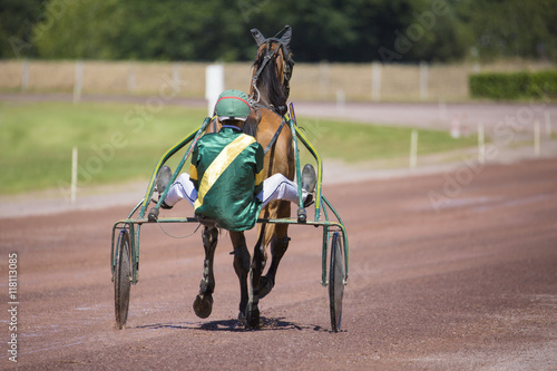 Foto Jeunes trotteurs