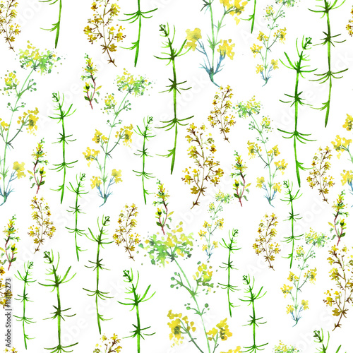 The pattern of watercolor  vintage elements - grass and plant flowers . Illustration is made of hand-made in clipart graphics colors. Use for design  textiles  paper and other
