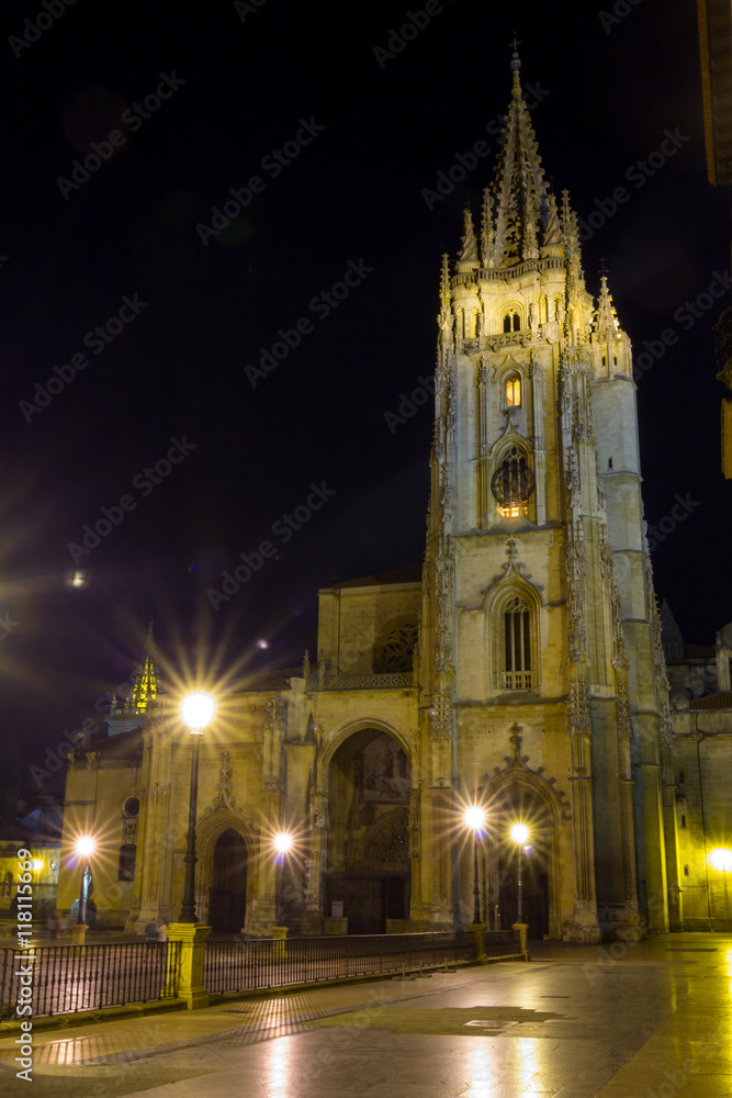 Night view of famous Cathedral of the city of Vigo, Spain
