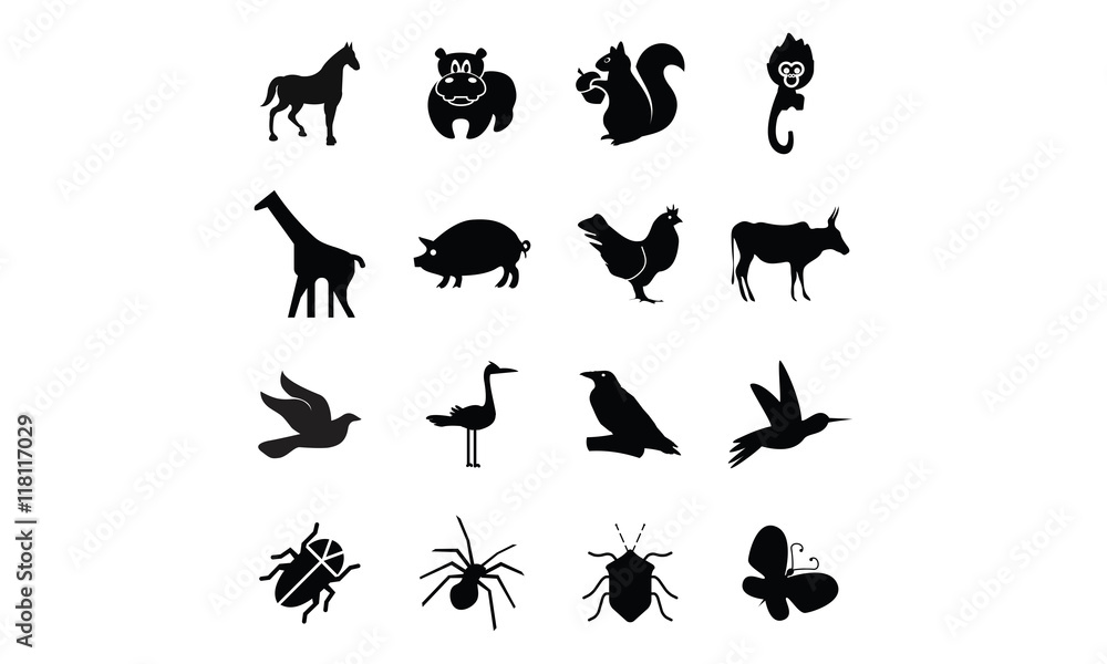 animal , birds and bugs