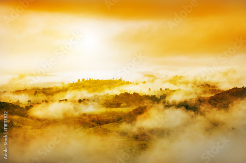 Golden light and misty over hill