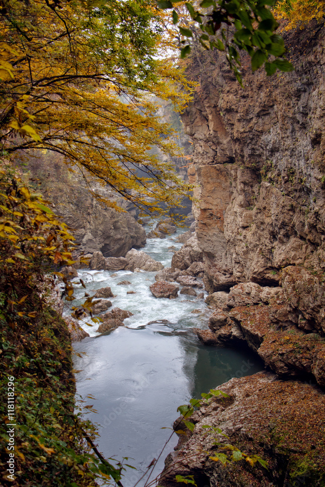 Obraz premium Autumn landscape of rapid mountain river in canyon and frame of yellow trees