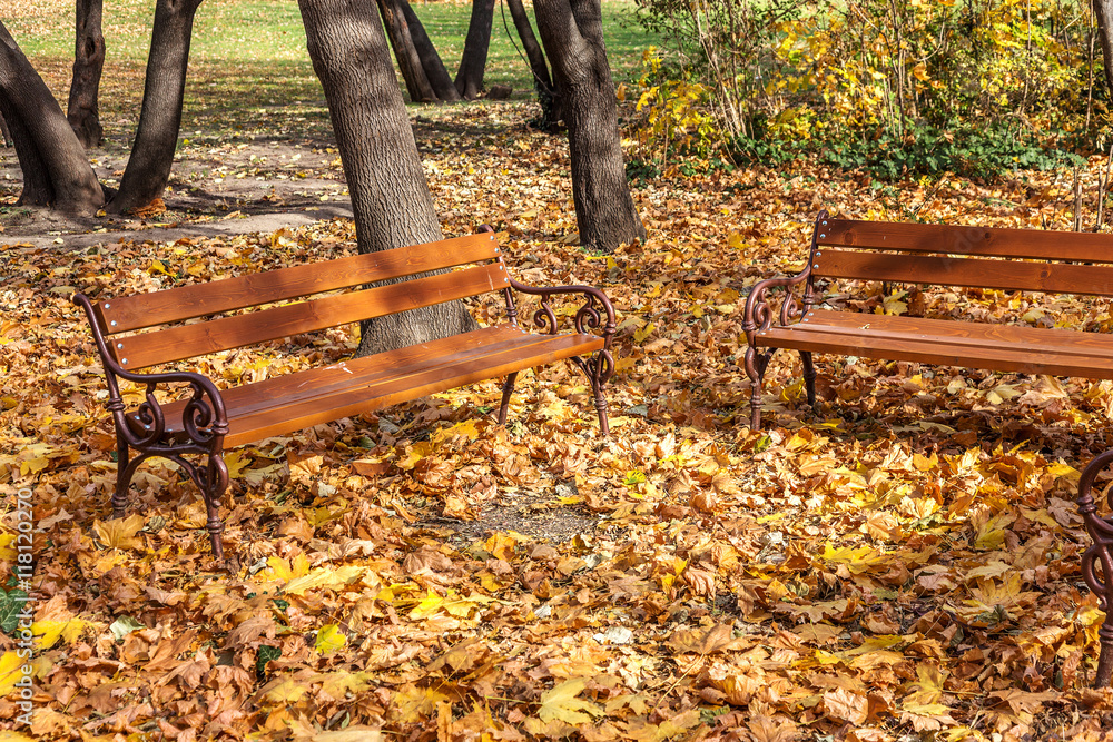 Wooden benches from the city park in the autumn colorful fallen Wooden benches from the city park in the autumn colorful fallen