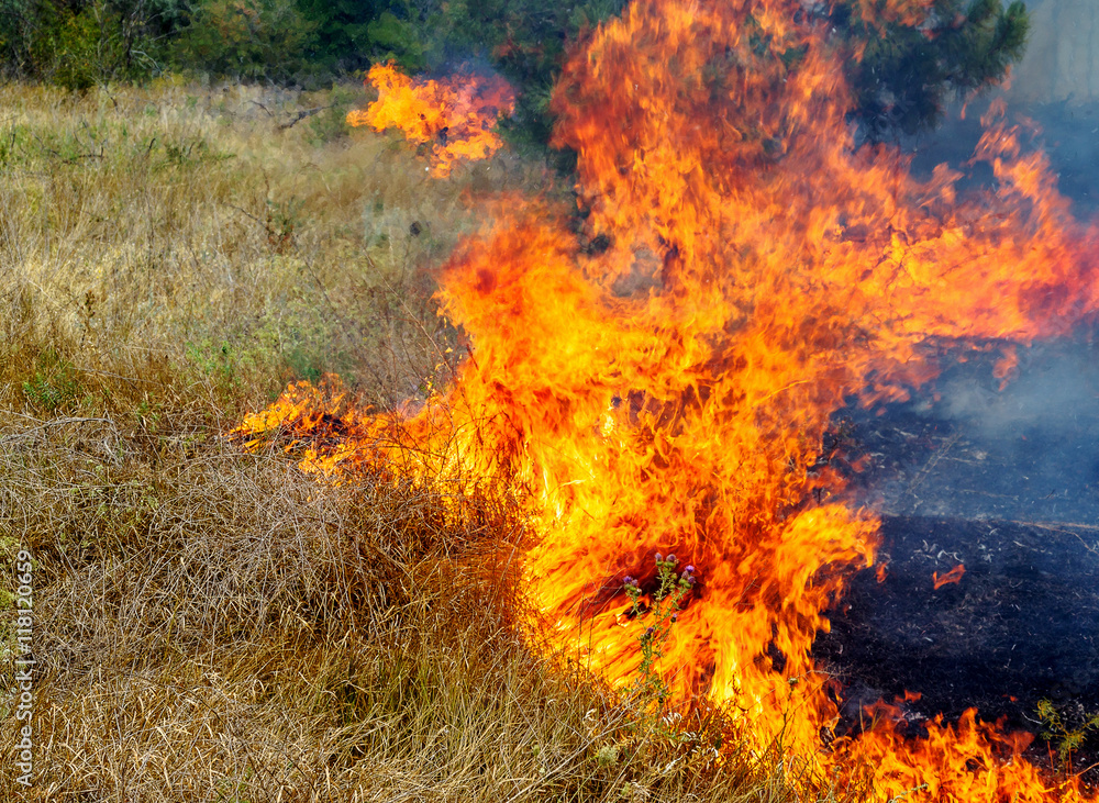 Severe drought. Forest fires in the dry wind completely destro Stock