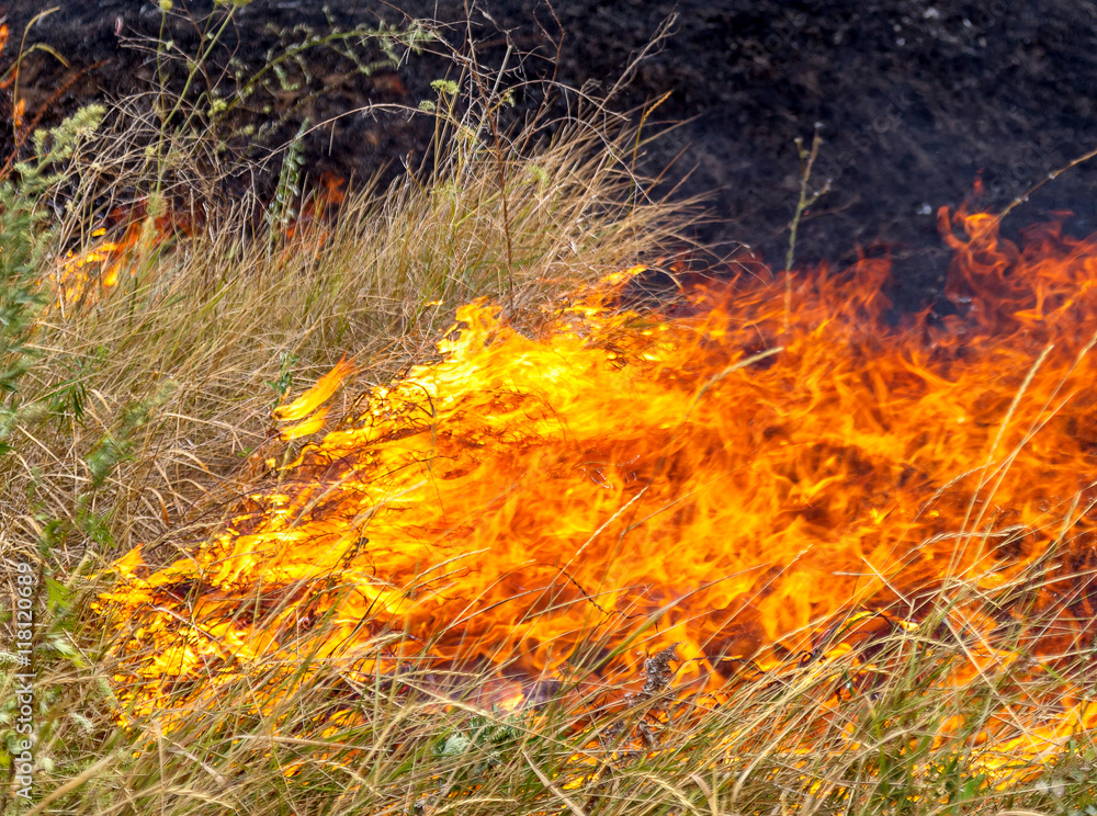 Severe drought. Forest fires in the dry wind completely destro Stock