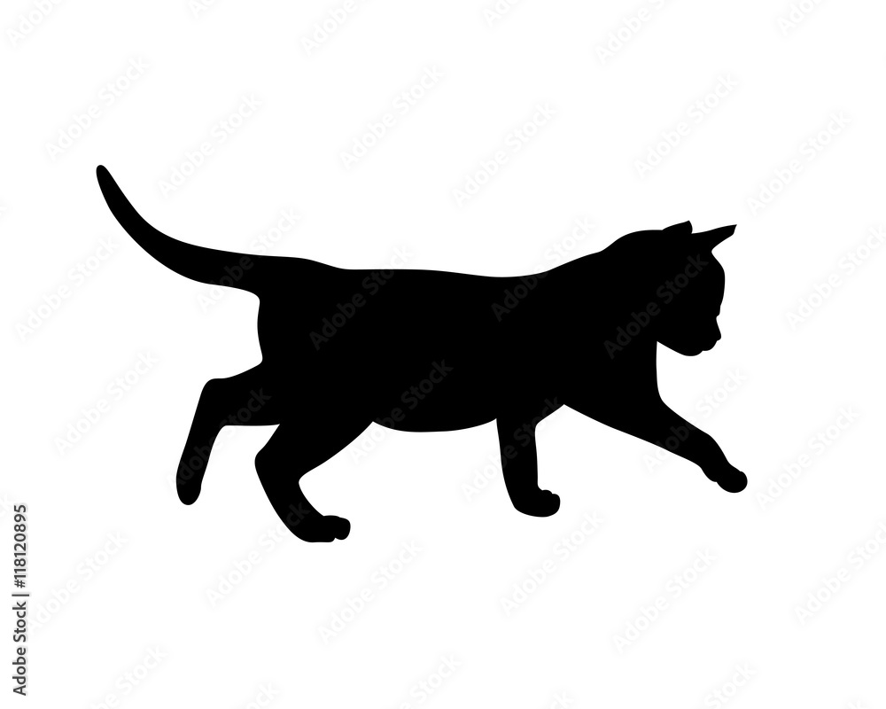 Kitten silhouette. Vector illustration