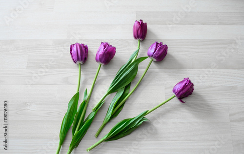 Purple tulips on the wooden floor #118126490