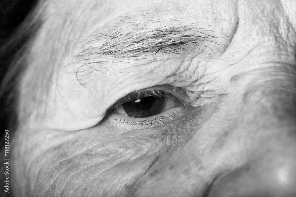 Fototapeta premium Portrait of elderly woman. Closeup. Toned