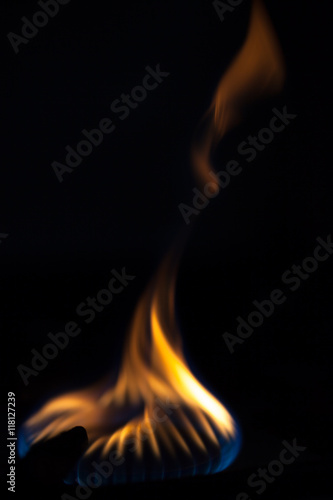 Gas burns on the burner on the stove in the dark. Selective focu © strannik_fox