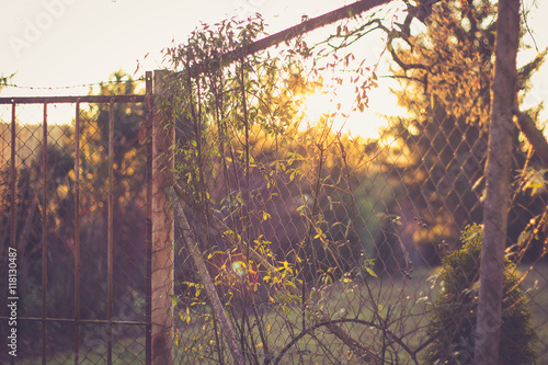 Fence in the sun photo