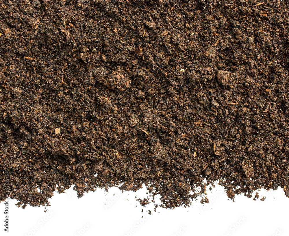 Dark Soil on White Background.Top View of a soil. Close Up Macro Dark Soil on White Background.Top View of a soil. Close Up Macro