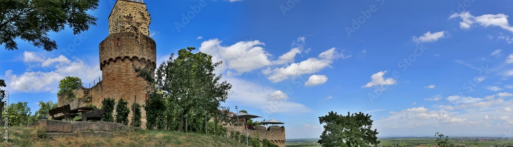 Burgruine Wachtenburg in Wachenheim an der Weinstraße Burgruine Wachtenburg in Wachenheim an der Weinstraße