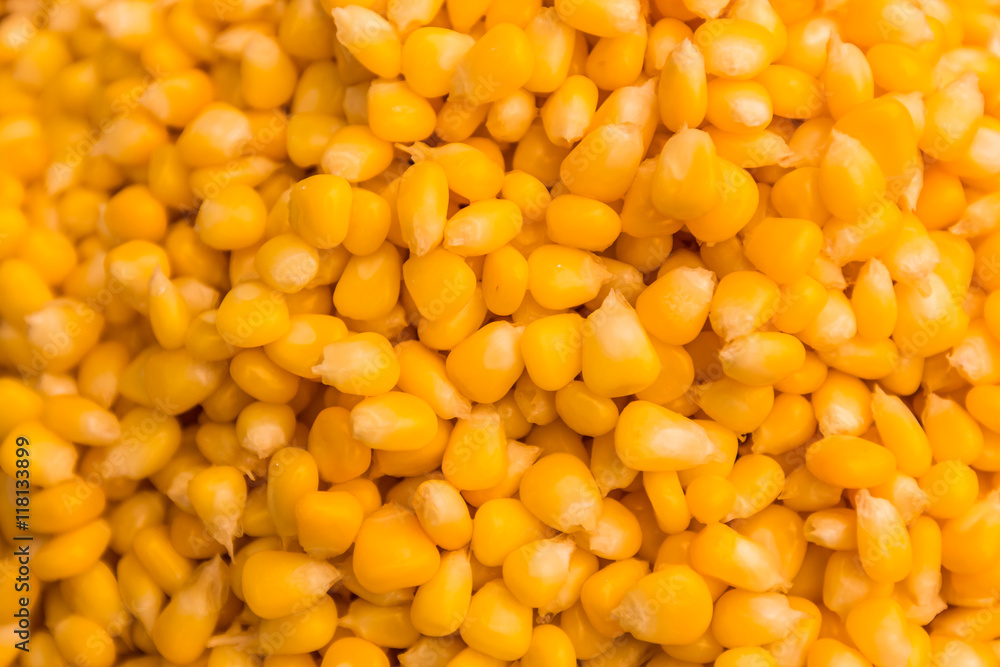 Background of bulk of yellow corn grains Background of bulk of yellow corn grains