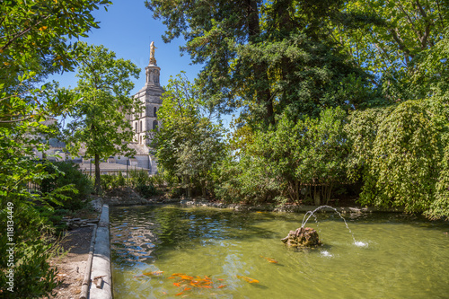 Εκτύπωση καμβά Cathédrale Notre-Dame des Doms d'Avignon