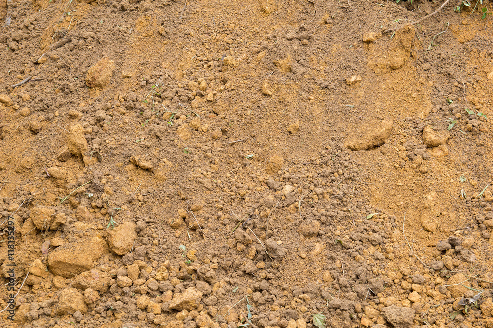 red laterite soil and rock texture with crumb of grass red laterite soil and rock texture with crumb of grass