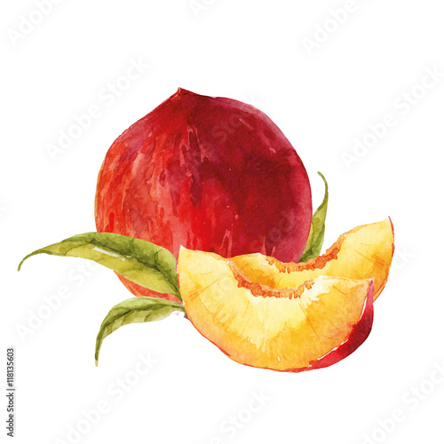 Watercolor tasty peach