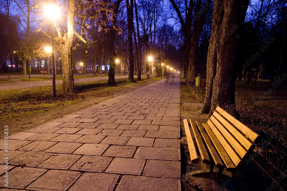 Lonely bench in park