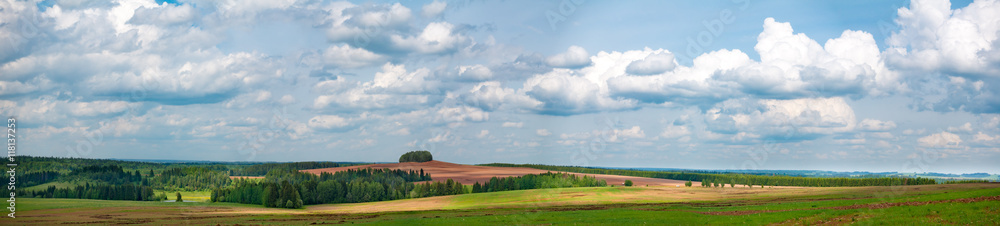 Panorama of agricultural field