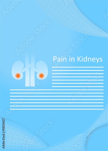 pain in kidneys