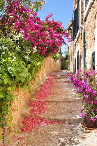 Romantic narrow street with blooming bougainvillea flowers on th