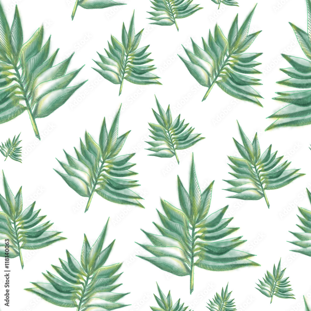 Leaves green fern pattern on the white background