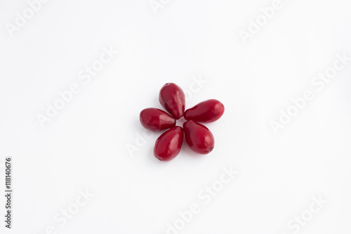 Dogwood berries on a white background