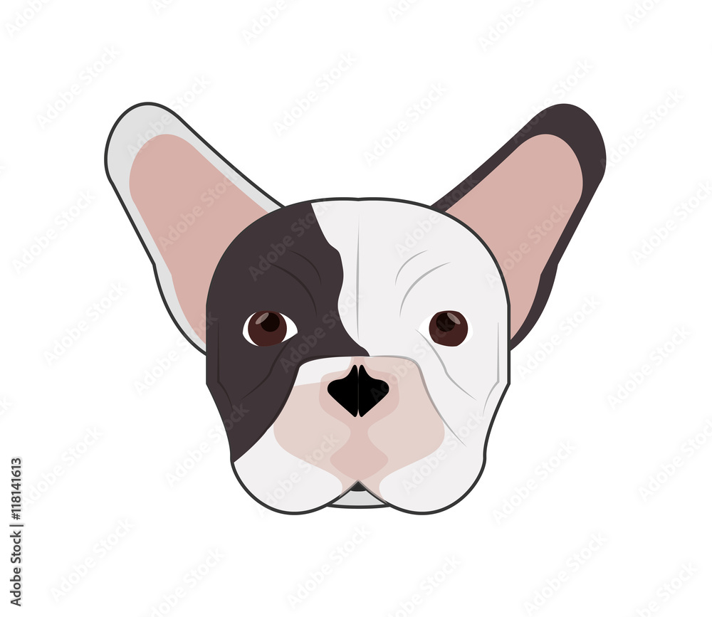 flat design french bulldog icon vector illustration