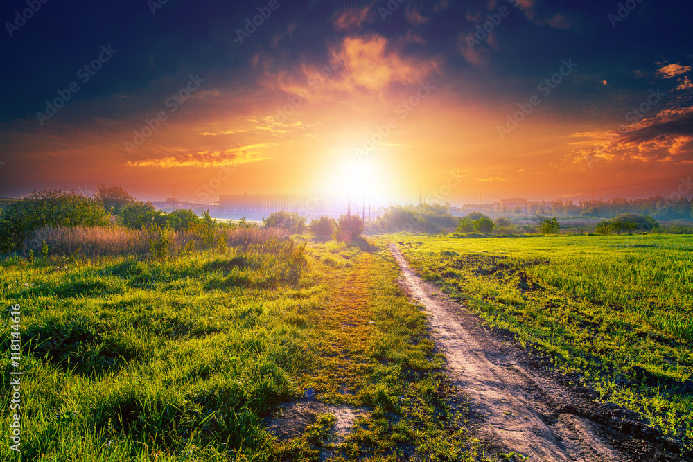 Naklejka premium Green Field and Beautiful Sunset
